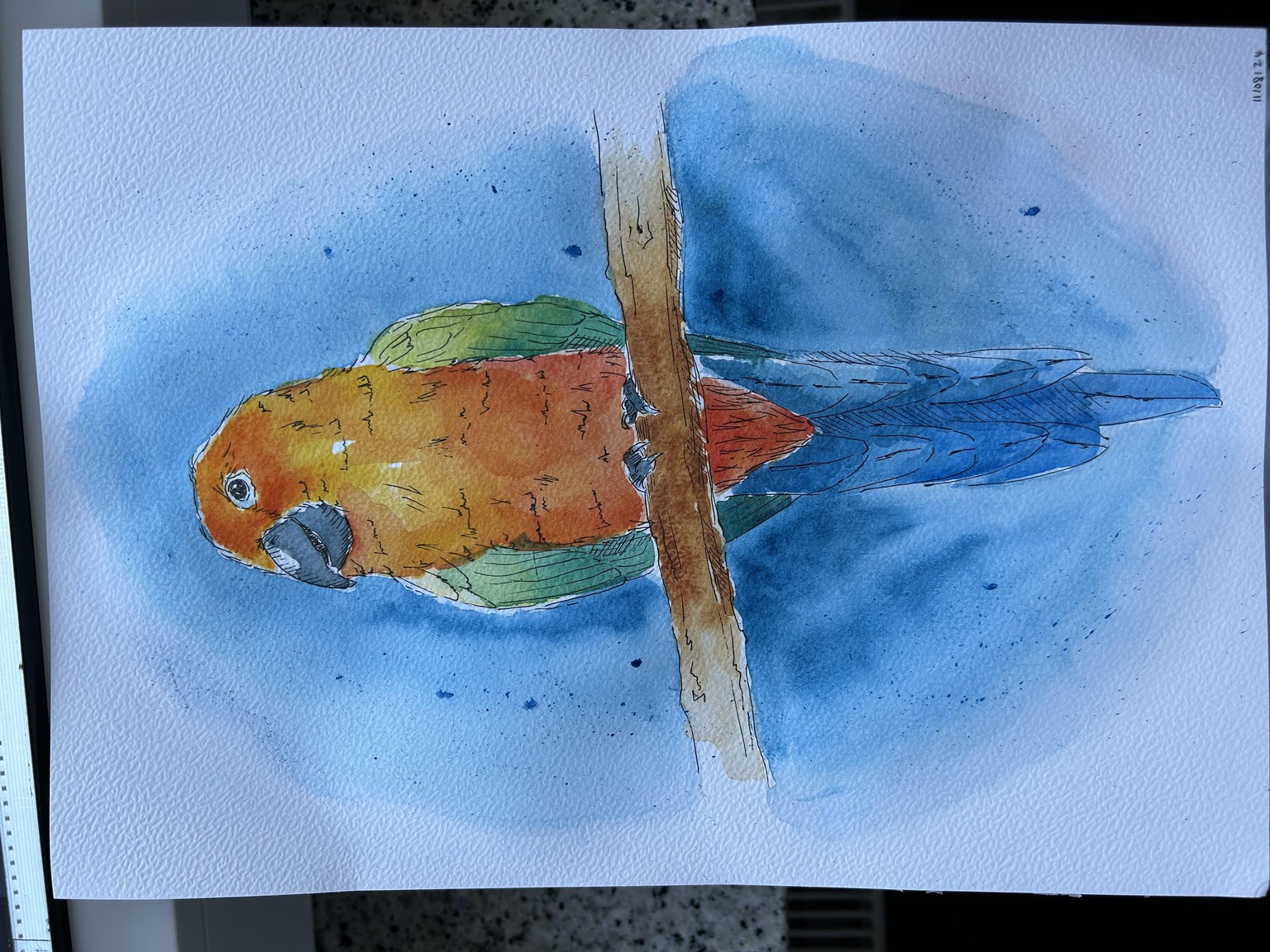 Parrot - image 1 - student project