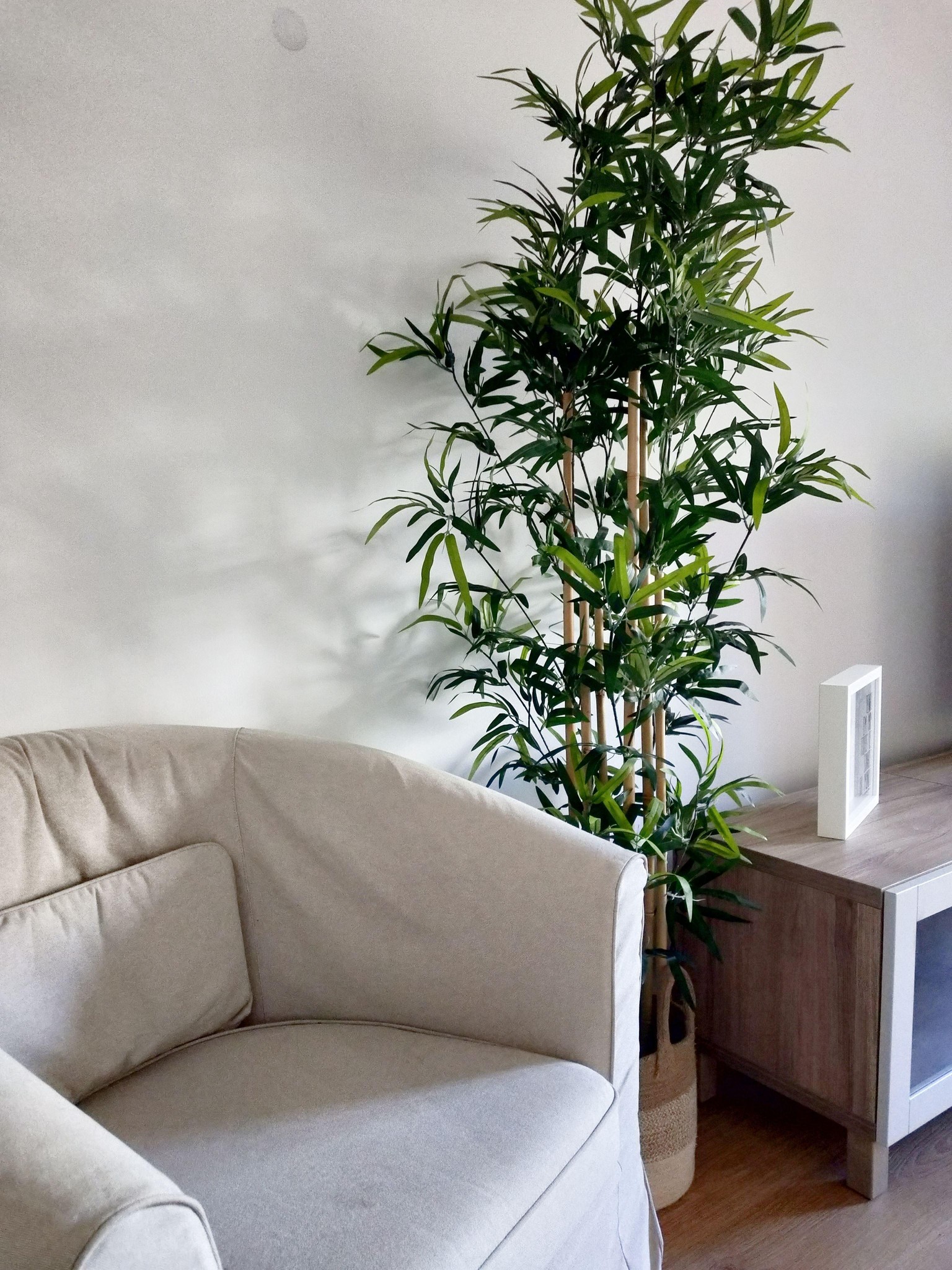 My little corner - image 1 - student project