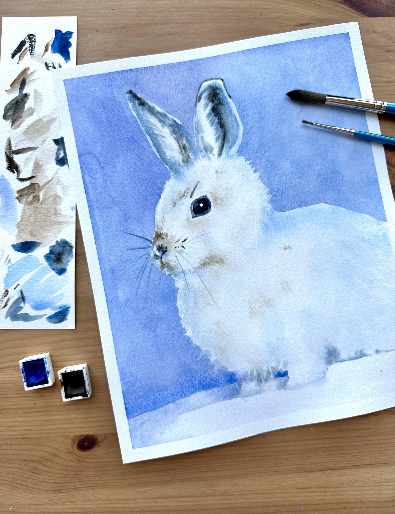 White animals - image 6 - student project