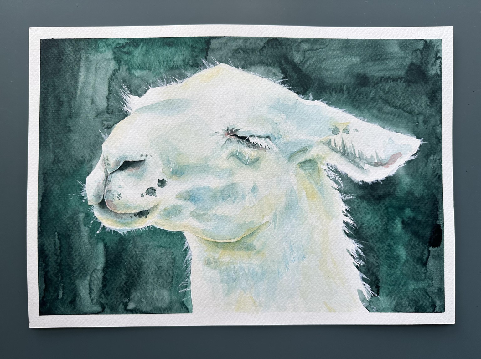 White animals - image 1 - student project