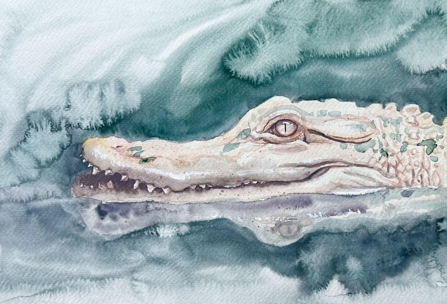 White animals - image 2 - student project