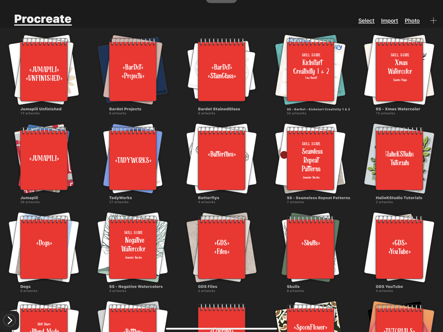 Organize Your Procreate Class - JaDiD - image 1 - student project