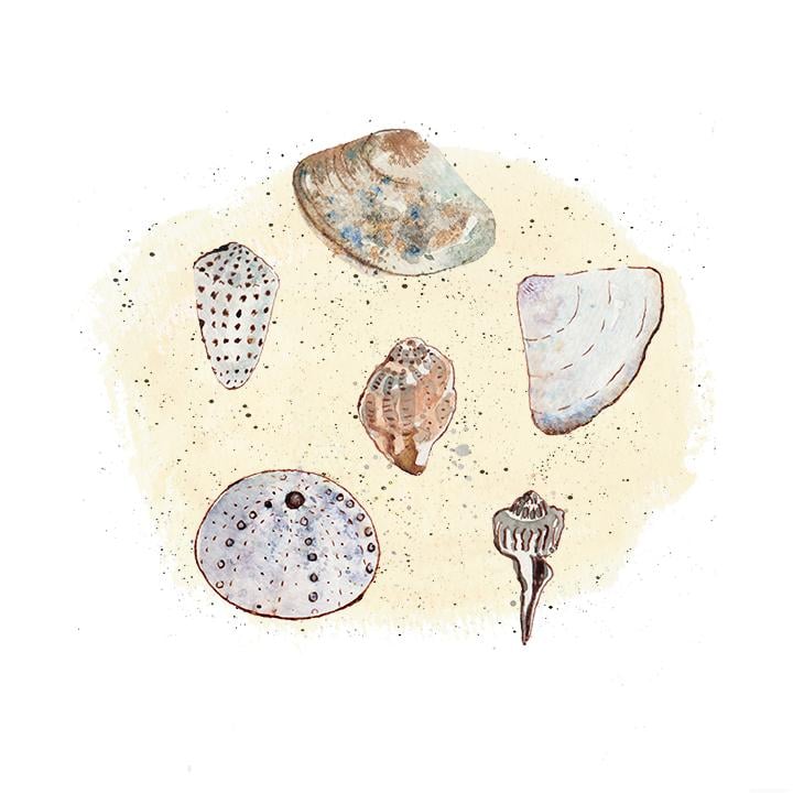Create freely with ink and watercolour - image 3 - student project