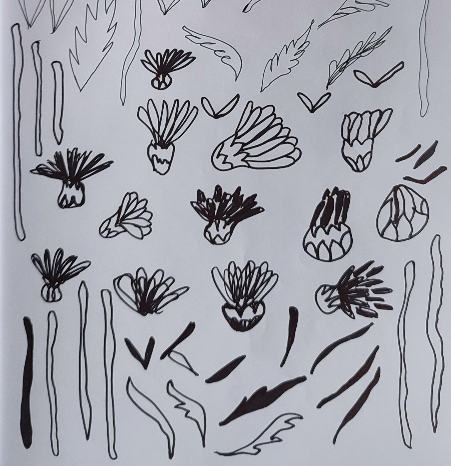 Decorative Chrysanthemum Flowers - image 3 - student project