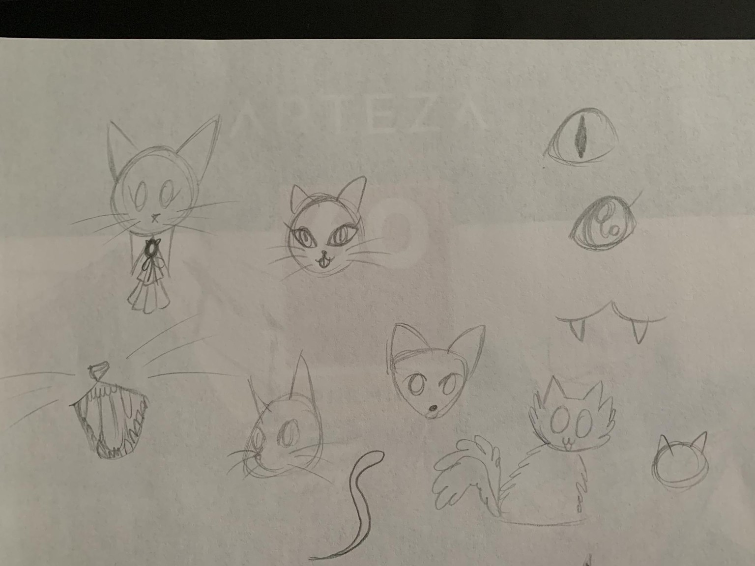 Kiki the Kitty Kat (Updated project) - image 7 - student project