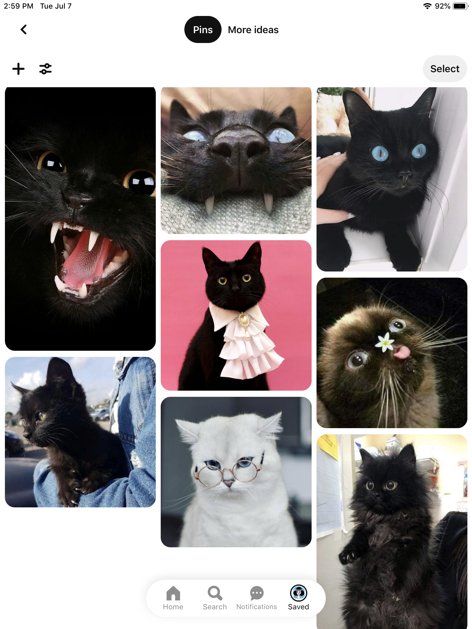 Kiki the Kitty Kat (Updated project) - image 3 - student project