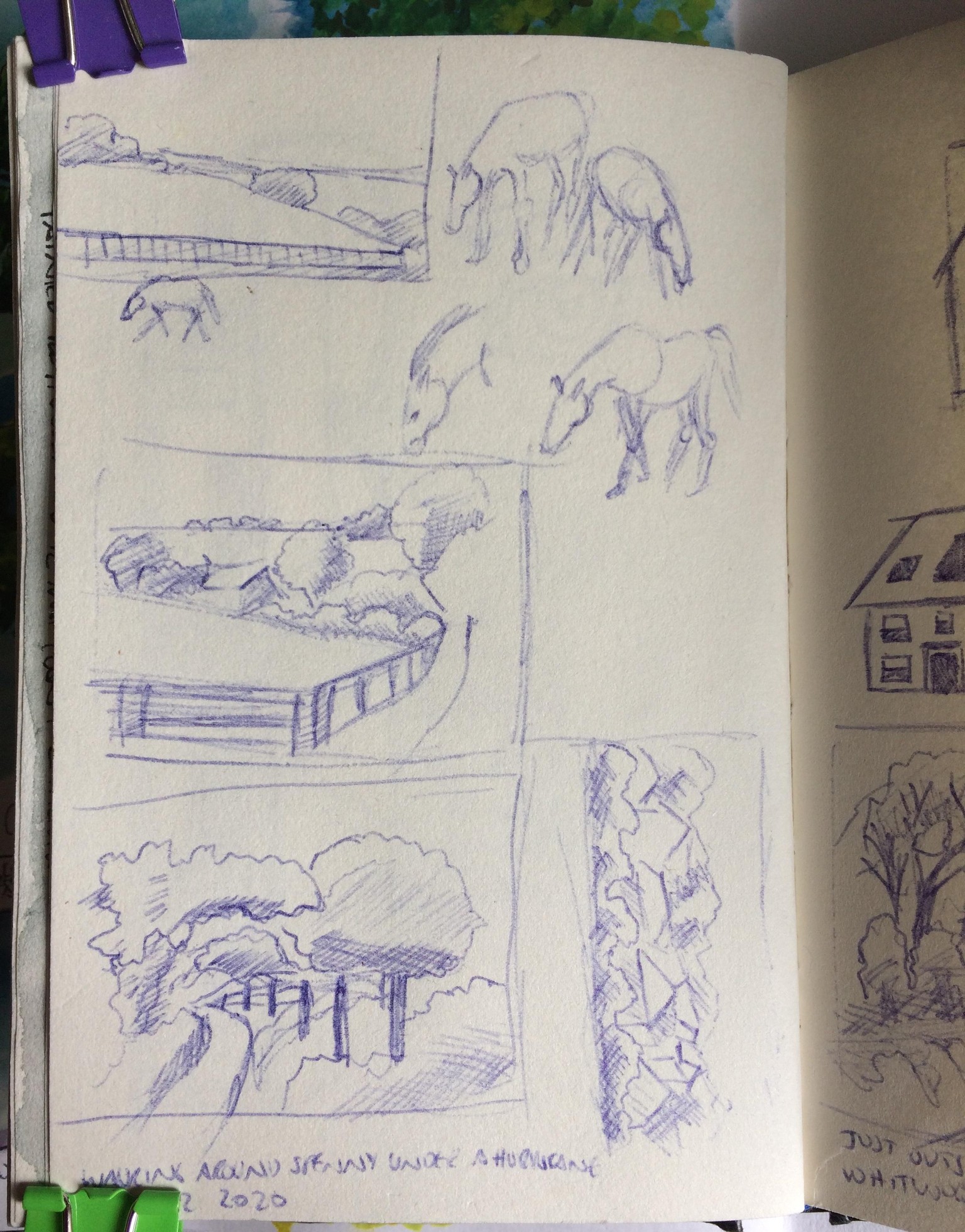 Landscape studies - image 2 - student project