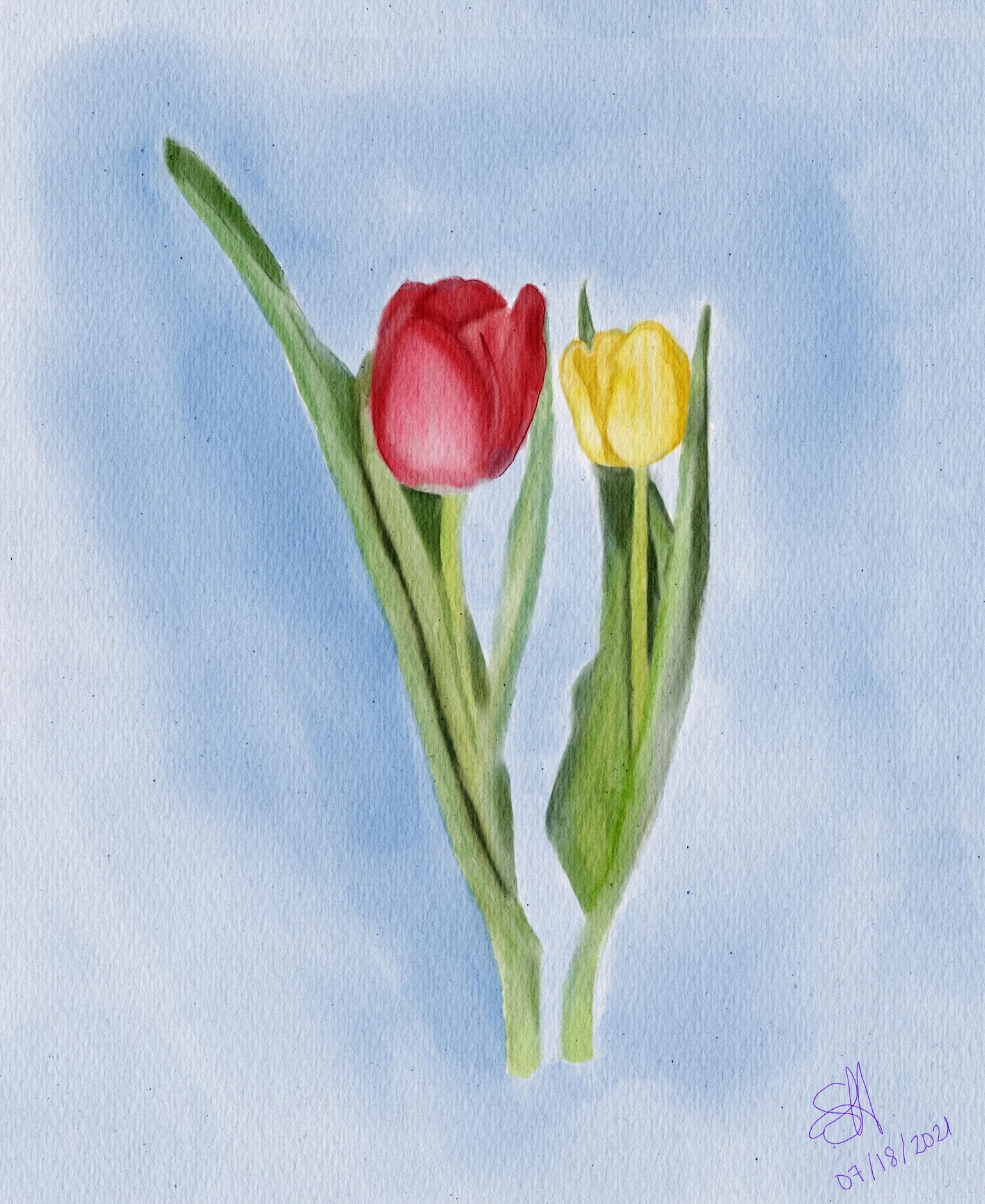 Sunflowers (click to see Tulips in description) - image 1 - student project