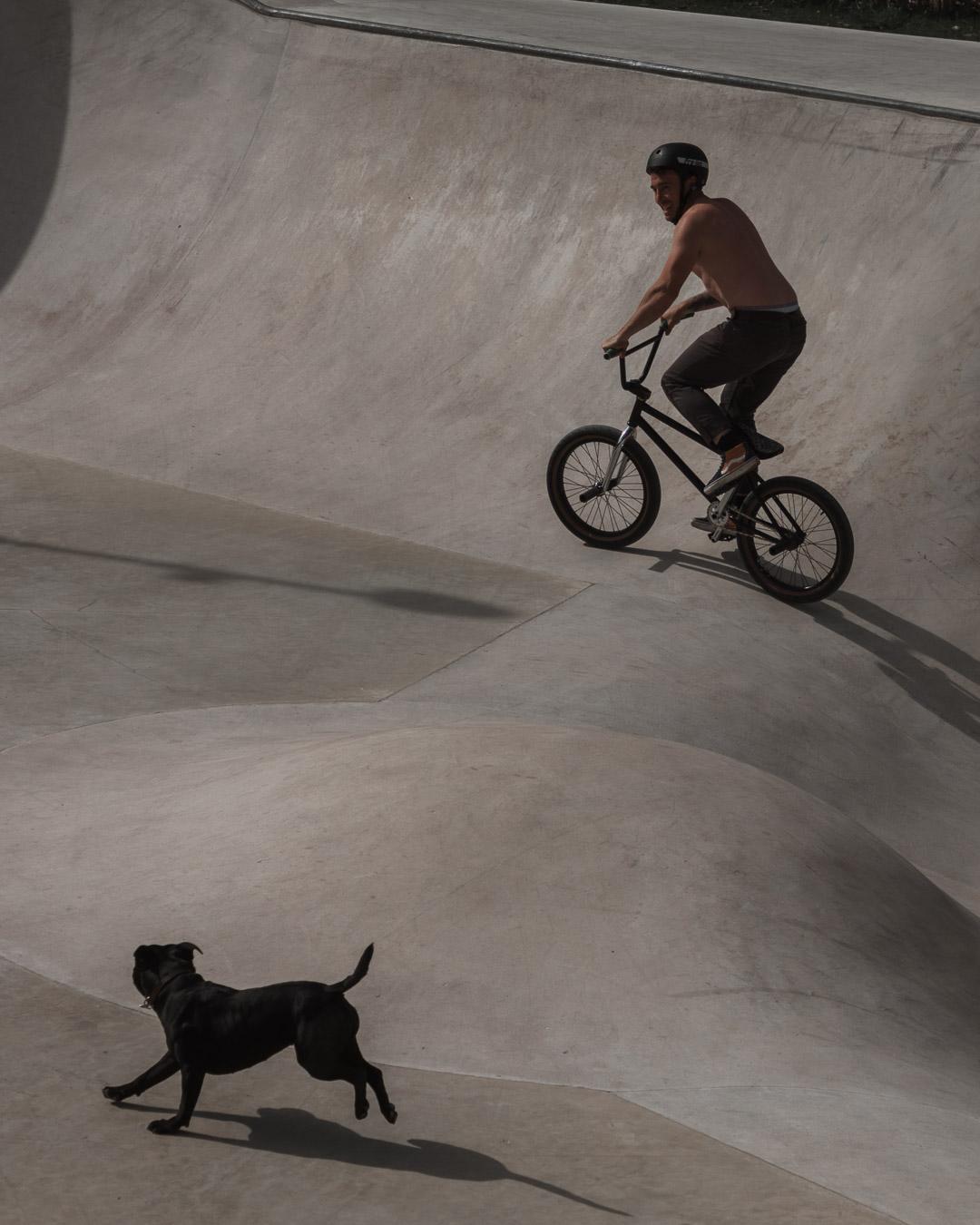 Action BMX photography - image 3 - student project