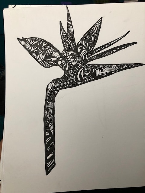 Line Drawing - image 1 - student project