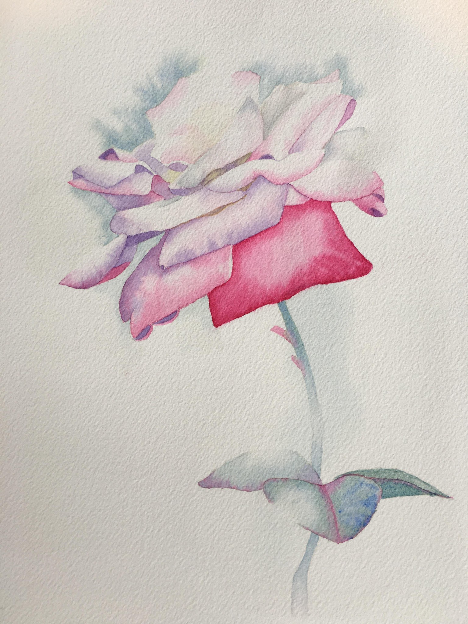 Lost Edges Rose - image 1 - student project