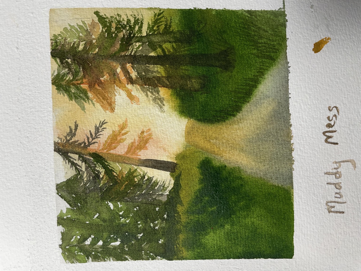 Sunlight through trees - image 1 - student project
