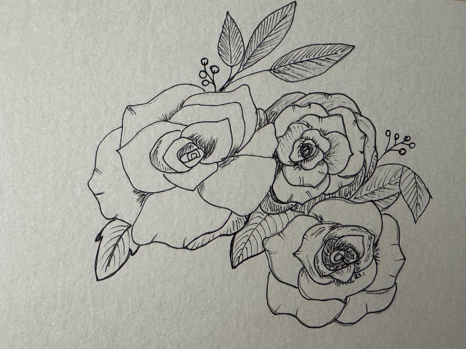 Roses - image 1 - student project
