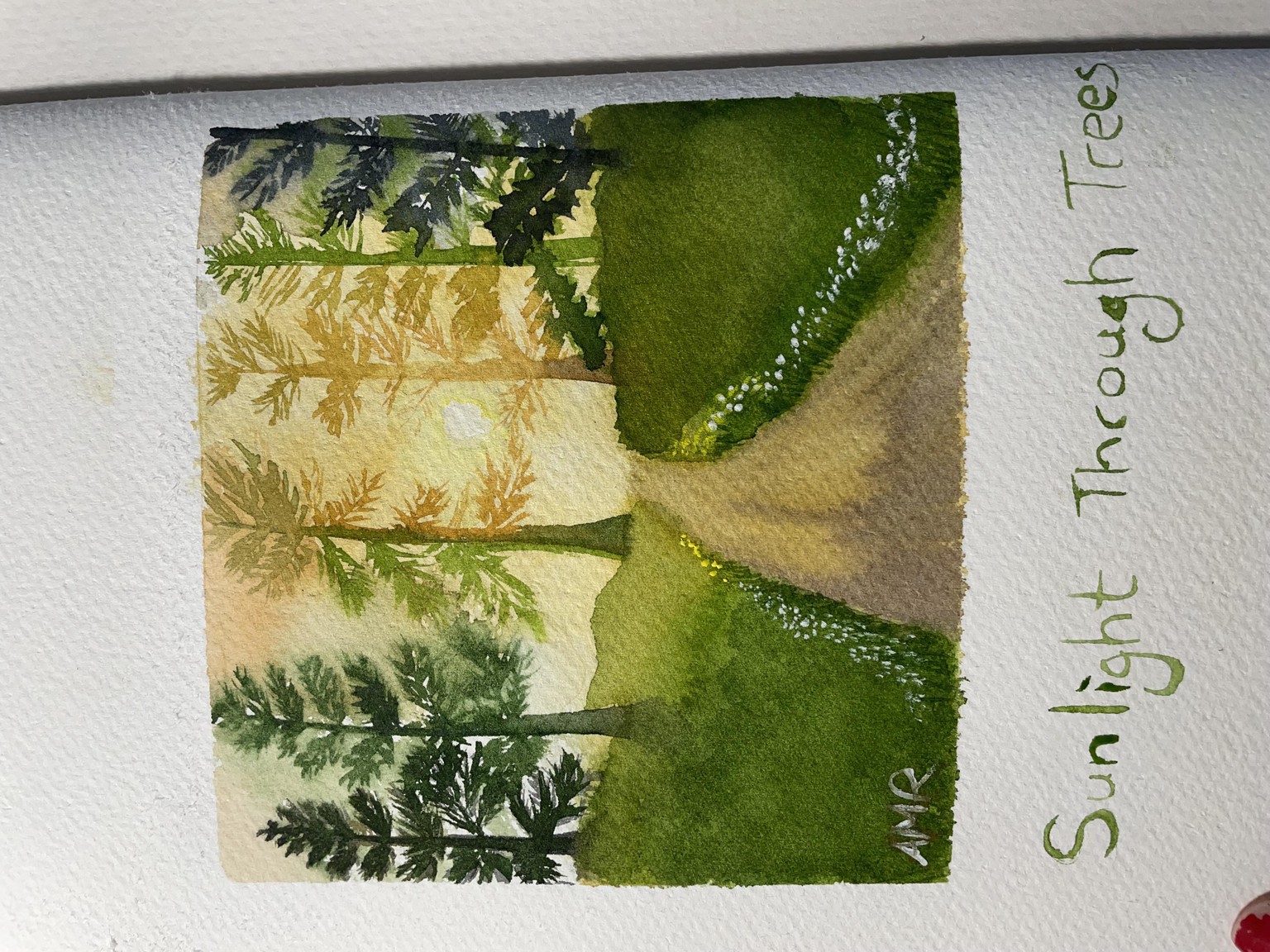 Sunlight through trees - image 2 - student project