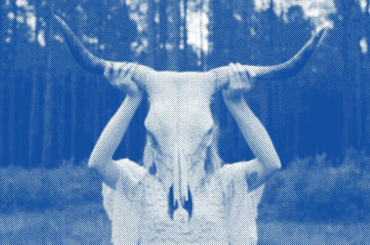 Girl with longhorn - image 1 - student project