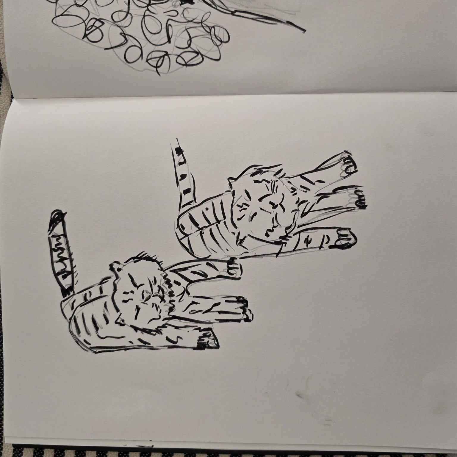 Speed drawing:) - image 4 - student project