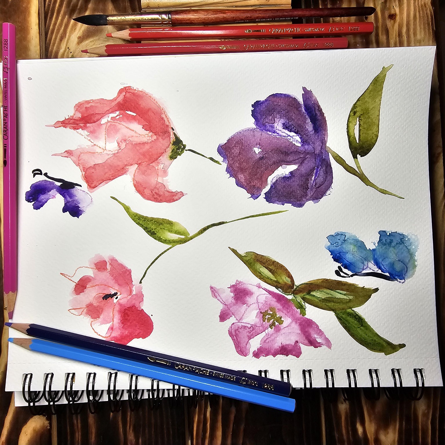 Imagining flowers - image 1 - student project