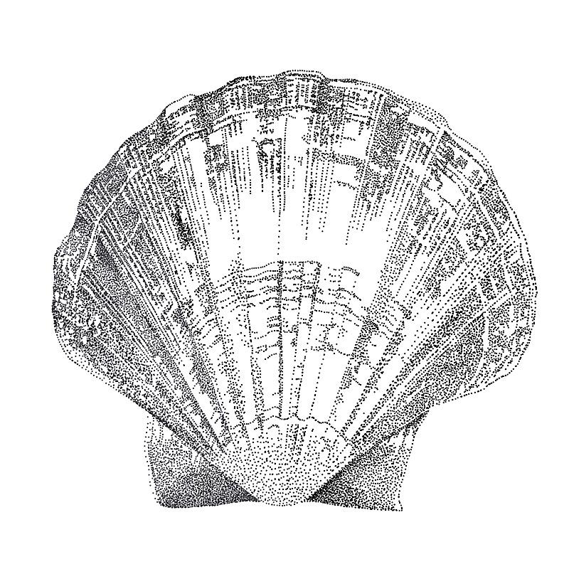 Stippling - image 2 - student project