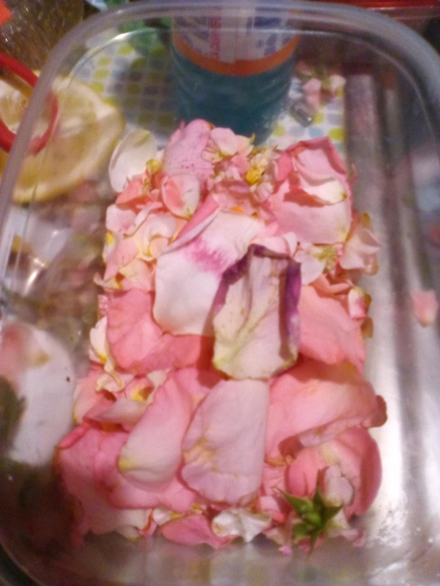 Processing roses - image 1 - student project