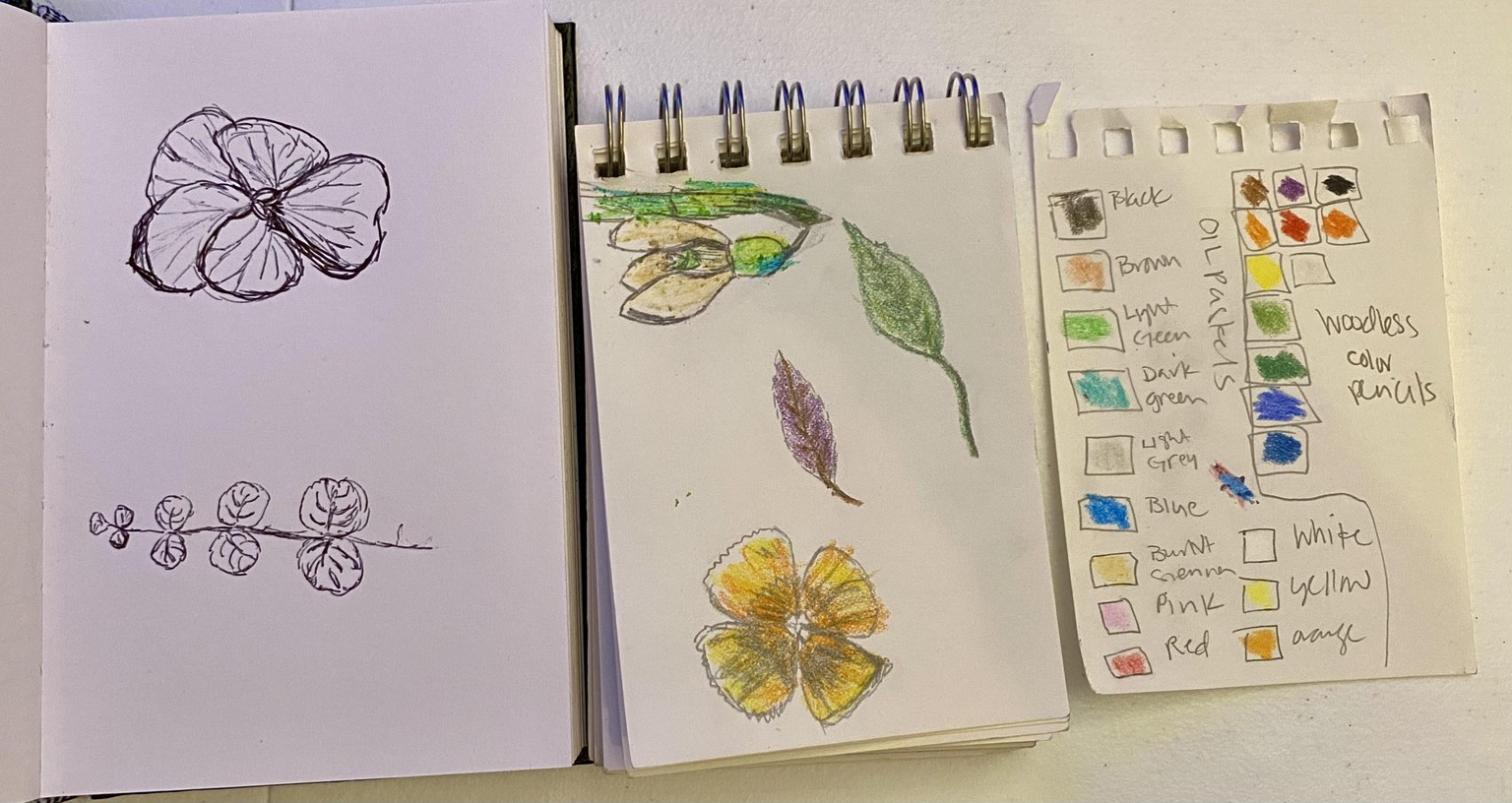 Botanical sketchbook project - image 3 - student project