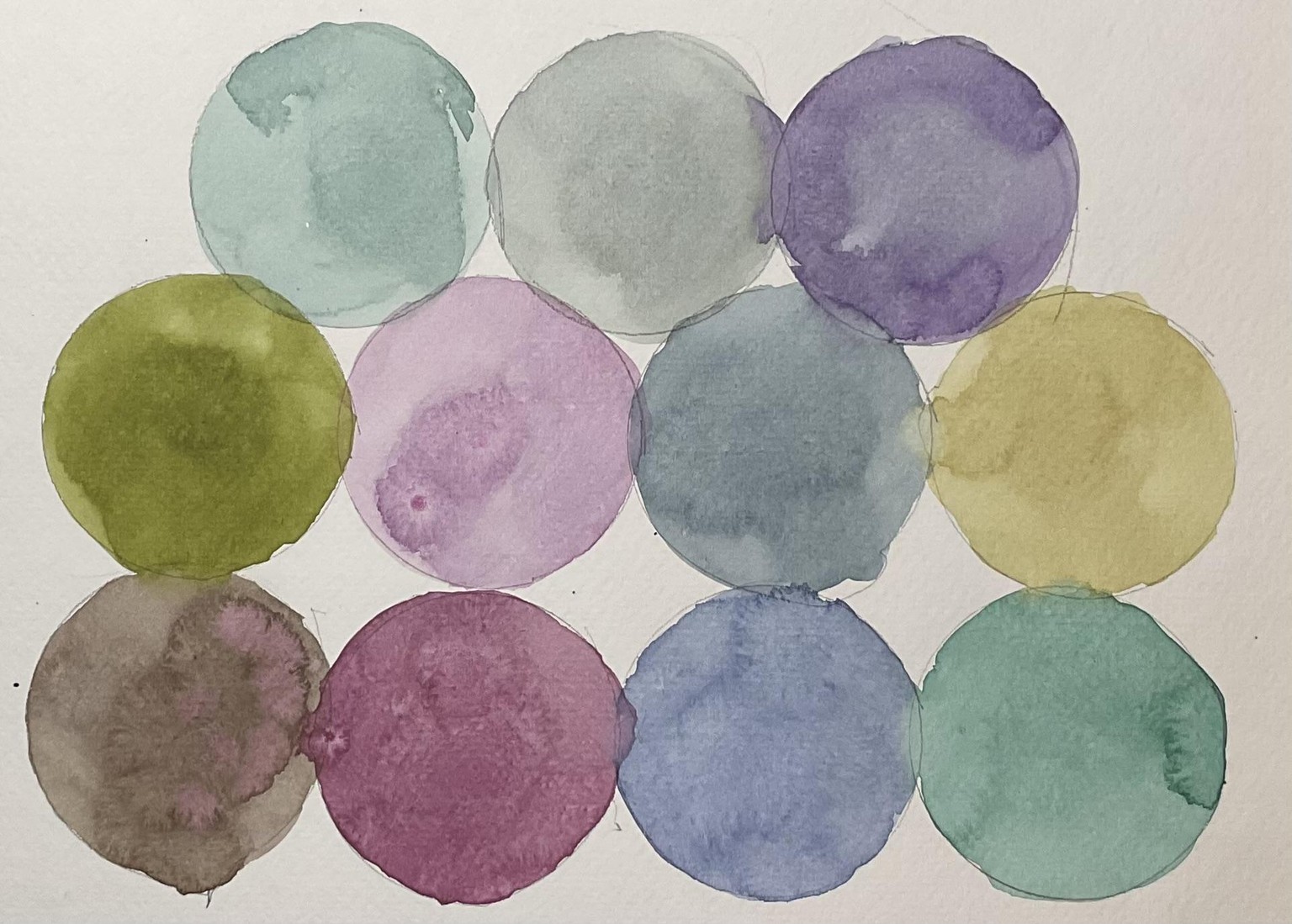 Watercolour cacti - image 4 - student project