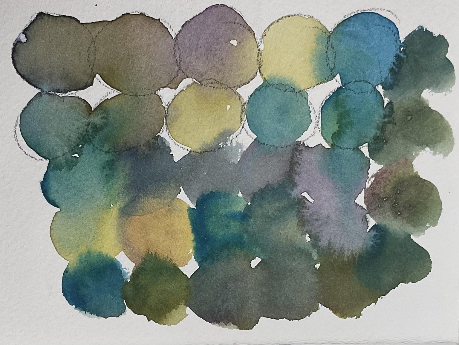 Watercolour cacti - image 3 - student project