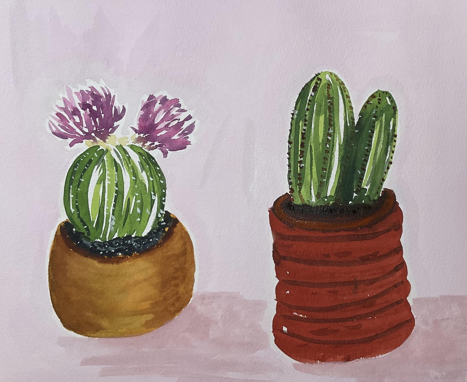 Watercolour cacti - image 2 - student project