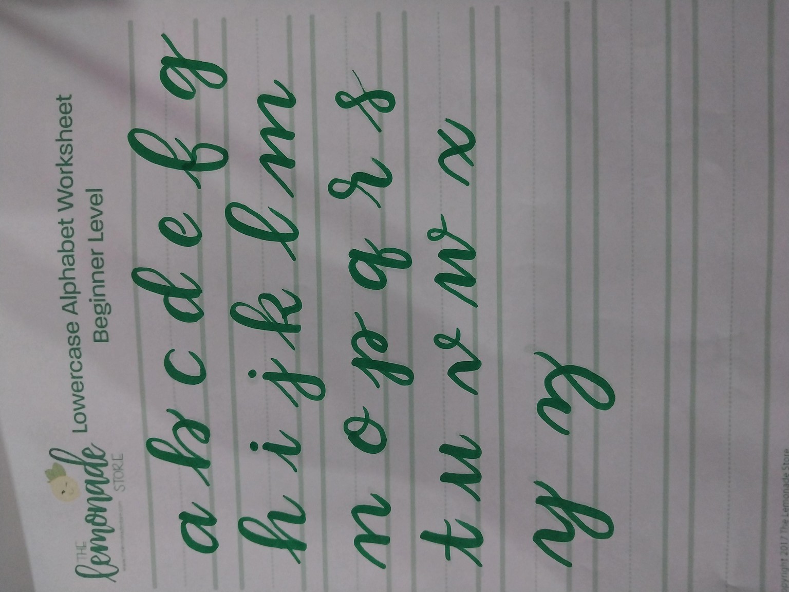 HANDLETTERING - image 1 - student project
