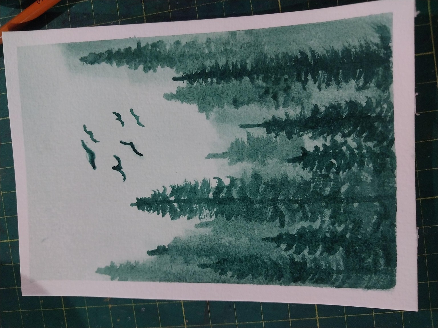 Misty pine forest - image 1 - student project