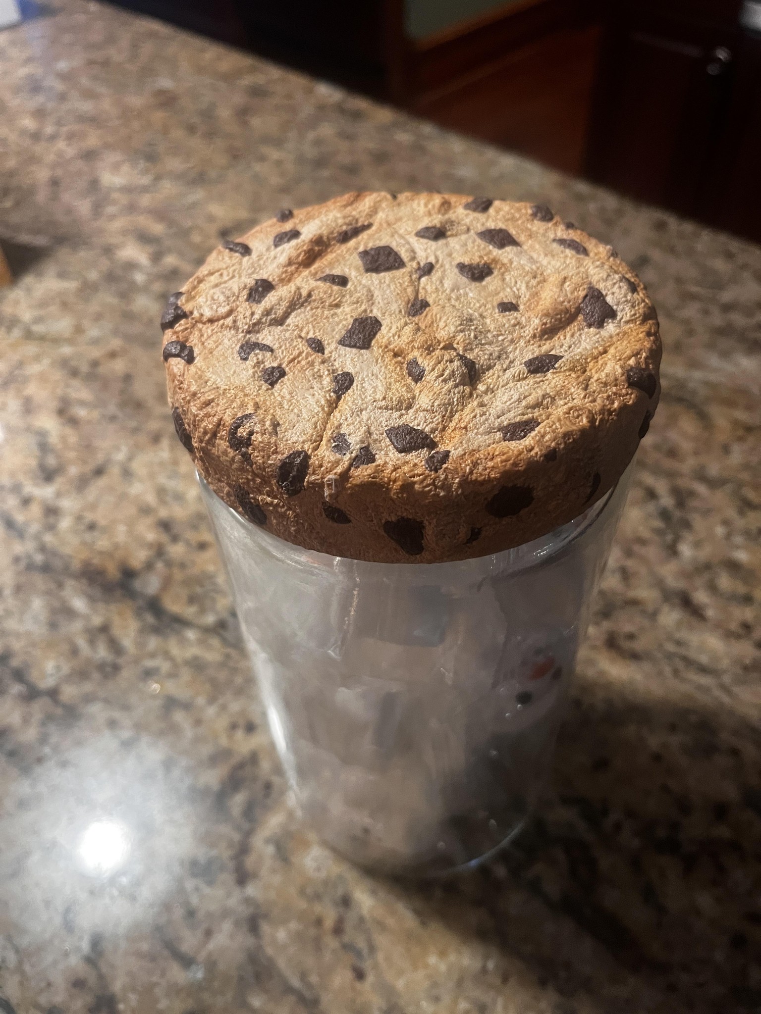 Chocolate Chip Cookie Jar - image 1 - student project