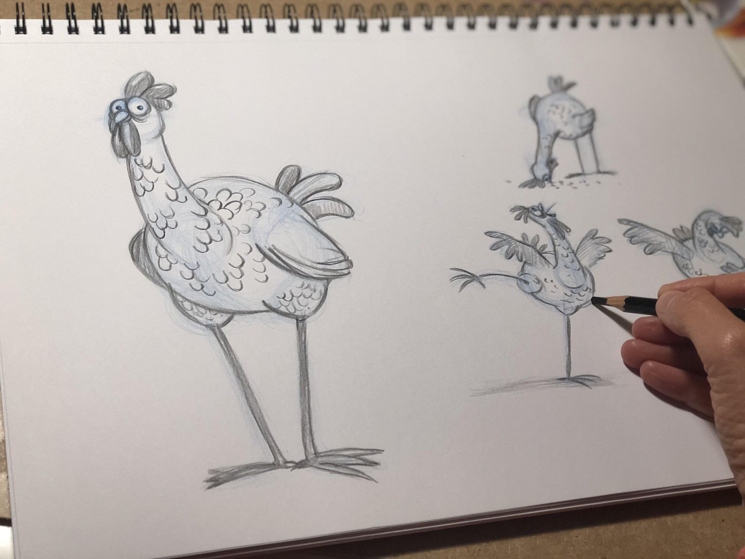 Drawing birds - image 1 - student project