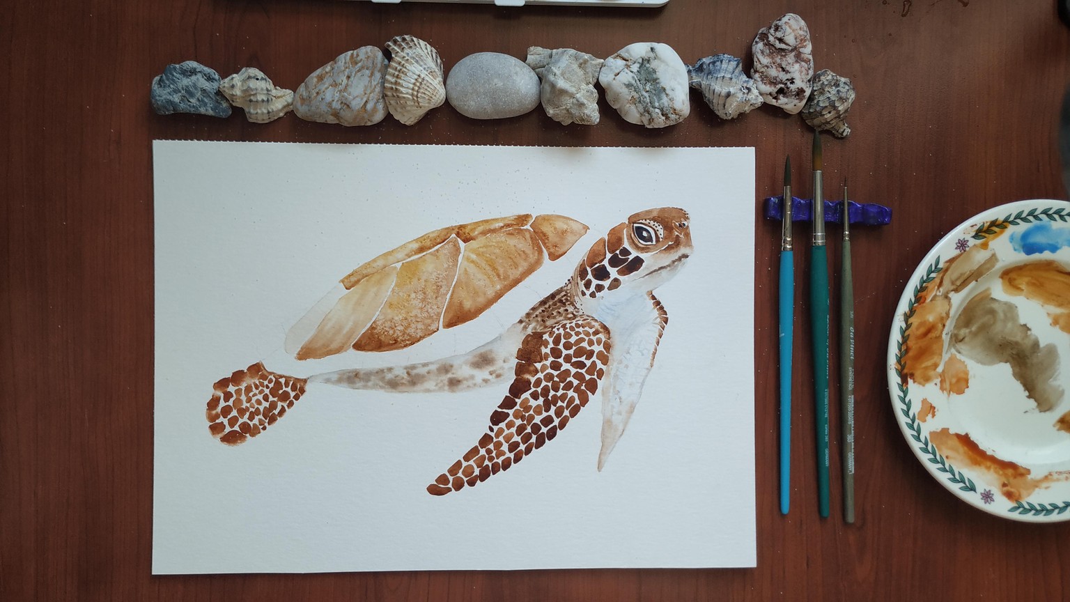Sea Turtle Painting in Watercolor - image 1 - student project
