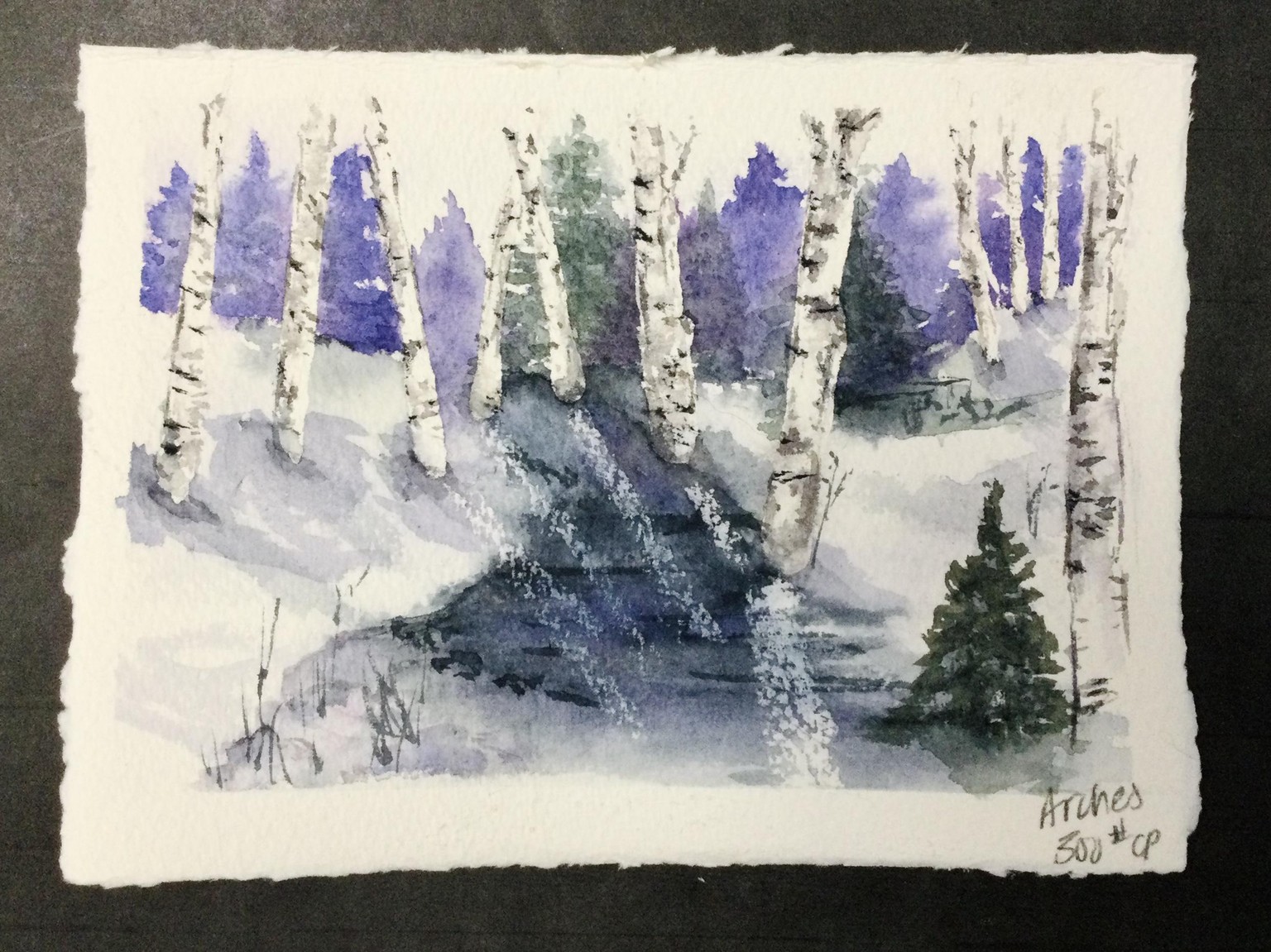 Moody winter scenes - image 1 - student project