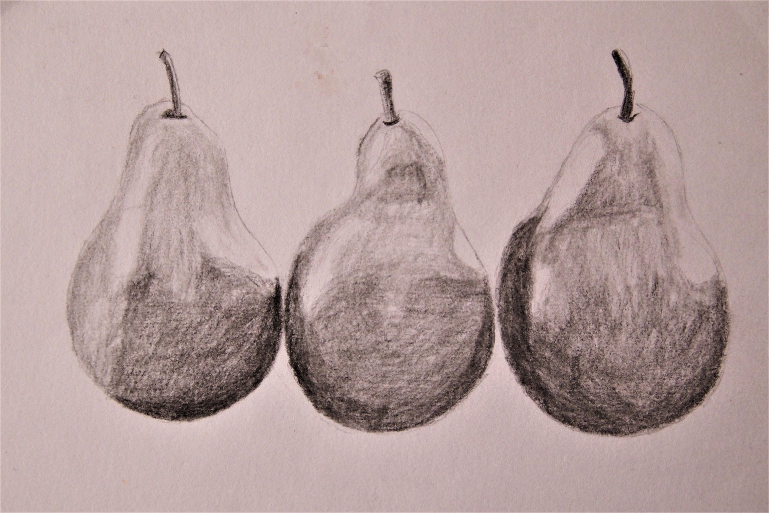 Projects - image 3 - student project