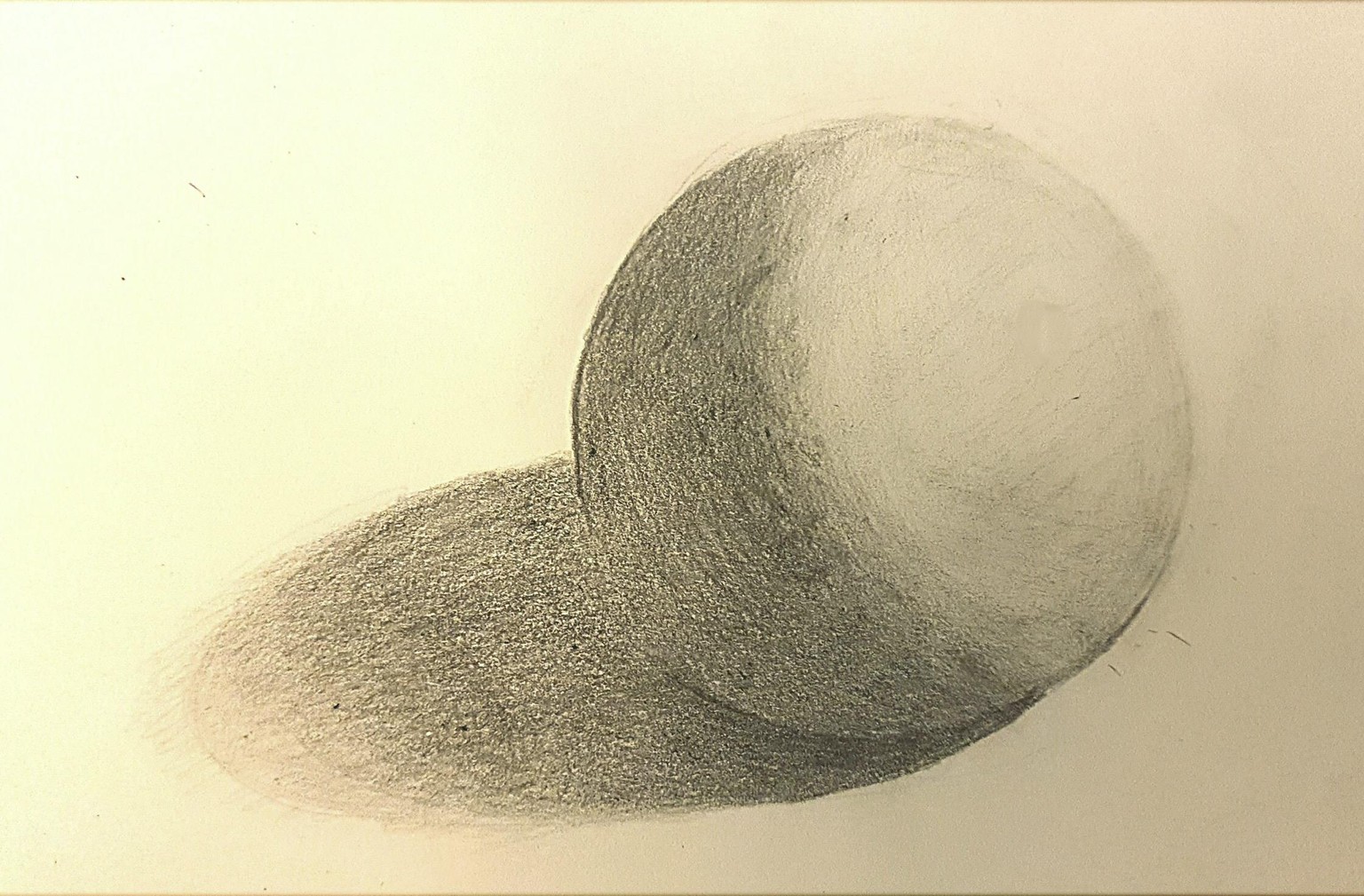 Basic forms - image 3 - student project