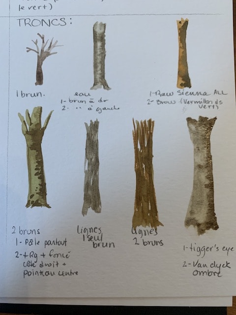 Les verts les bruns les arbres! - image 6 - student project