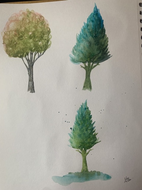 Les verts les bruns les arbres! - image 9 - student project