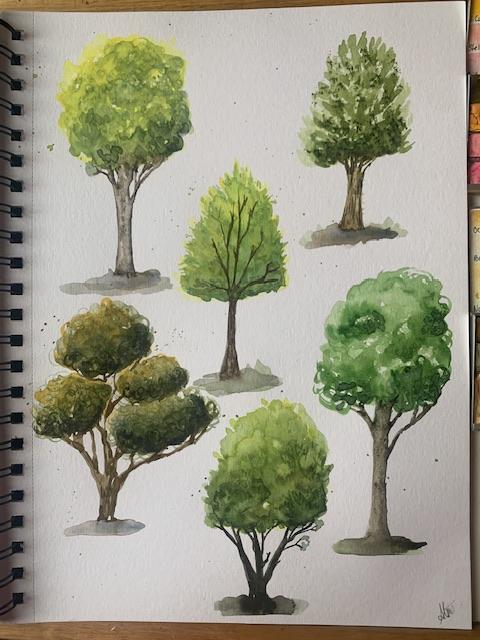 Les verts les bruns les arbres! - image 8 - student project