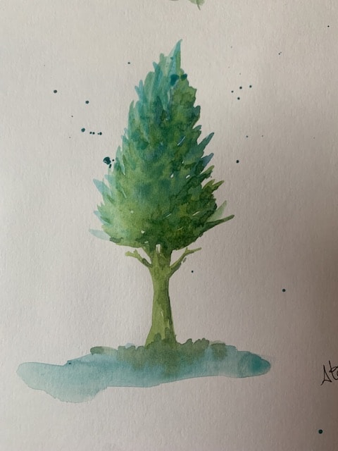 Les verts les bruns les arbres! - image 10 - student project