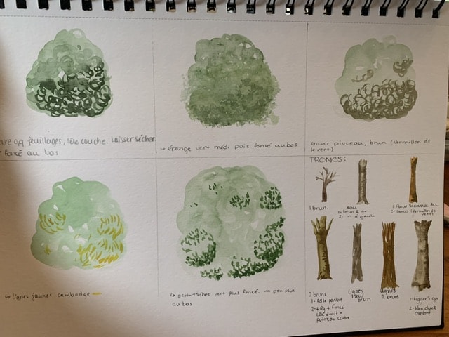Les verts les bruns les arbres! - image 5 - student project