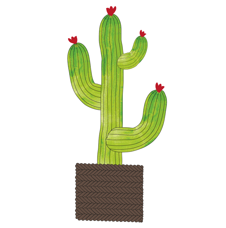 Cacti Window Half-drop Repeat - image 2 - student project