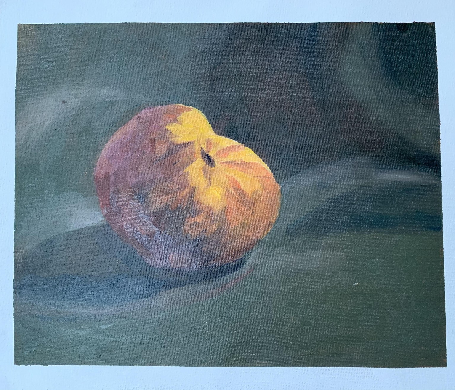 Alla Prima Peach with Rachael Broadwell - image 3 - student project