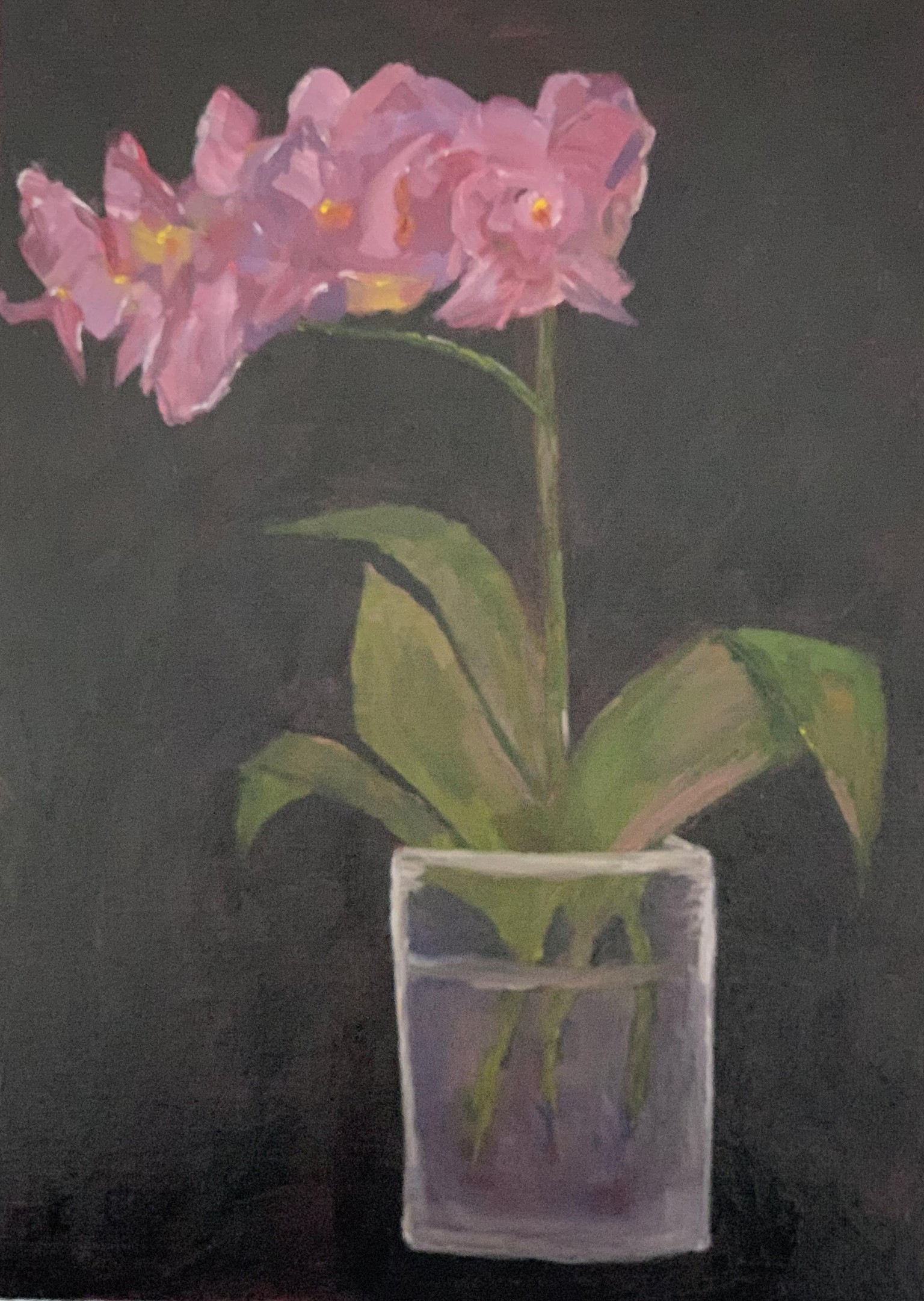 Impressionist Orchid with Rachael Broadwell - image 3 - student project