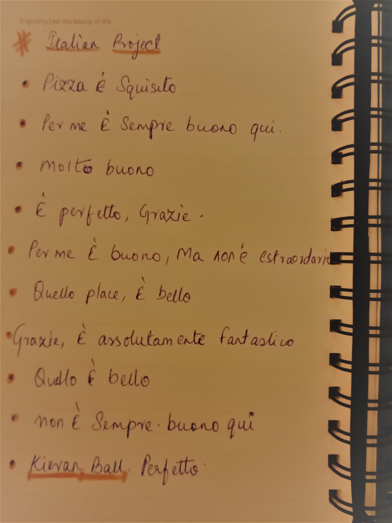 My First try at Italian - image 1 - student project