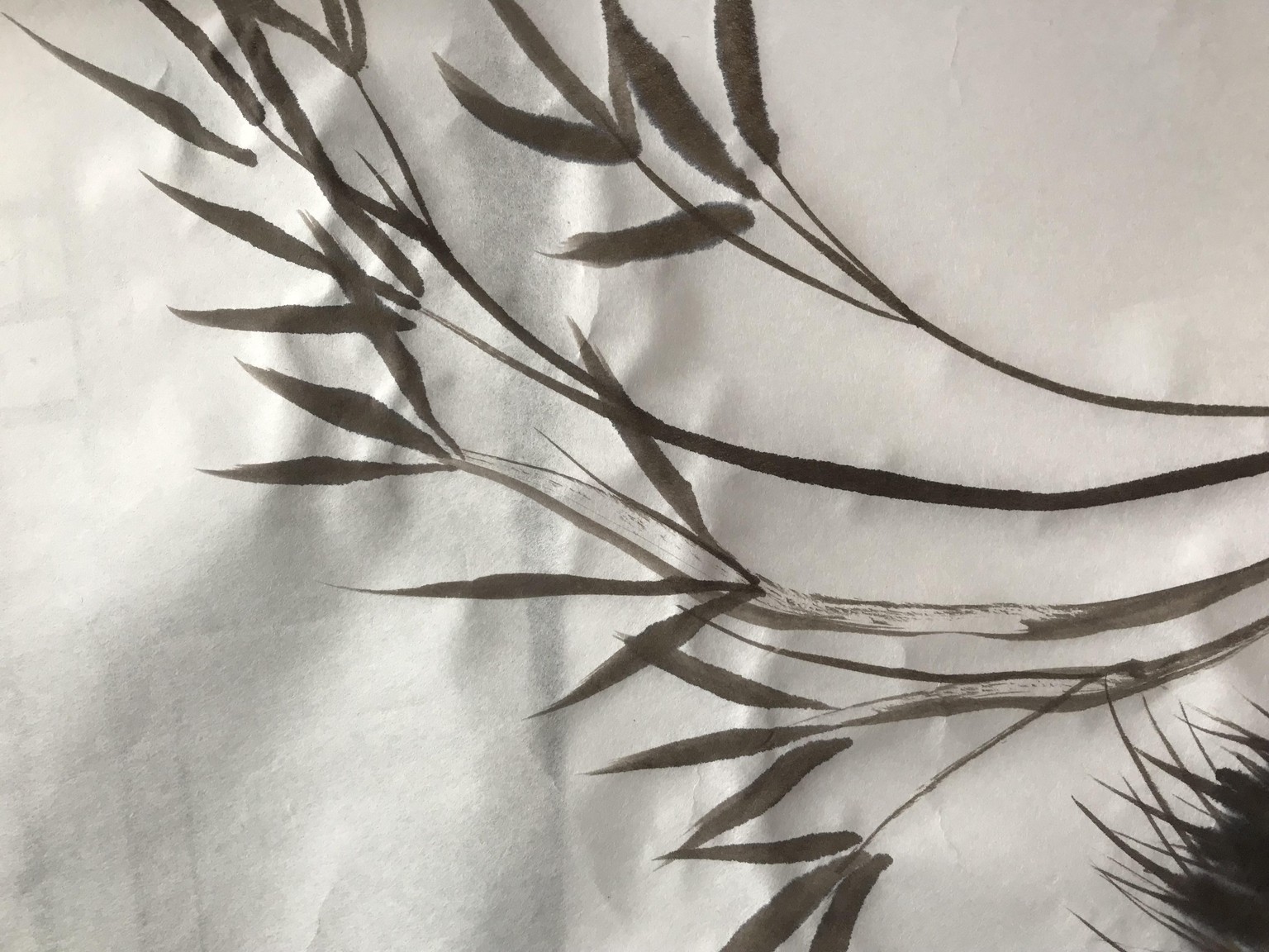 expressive ink - image 2 - student project
