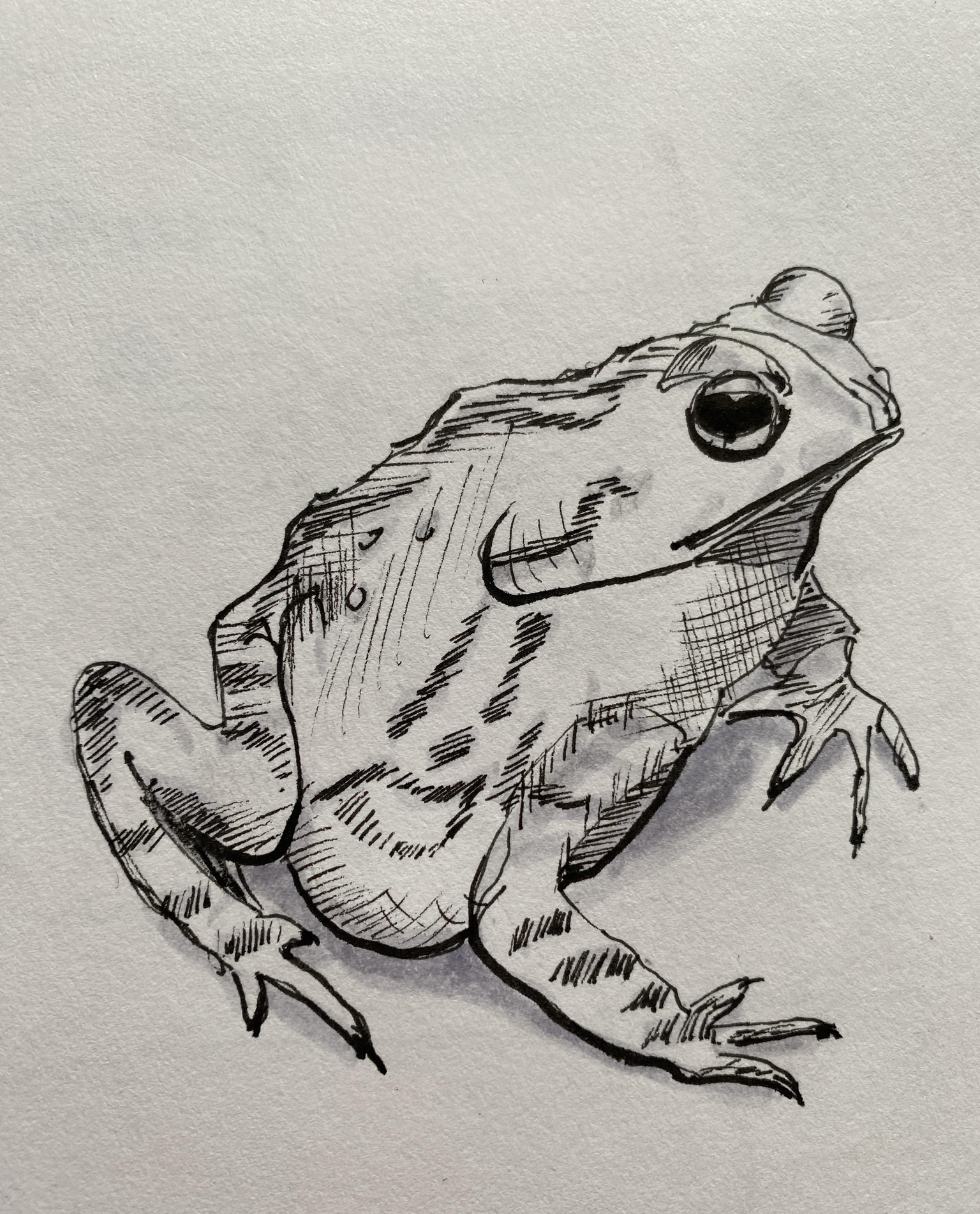 inktober 2023 - image 1 - student project
