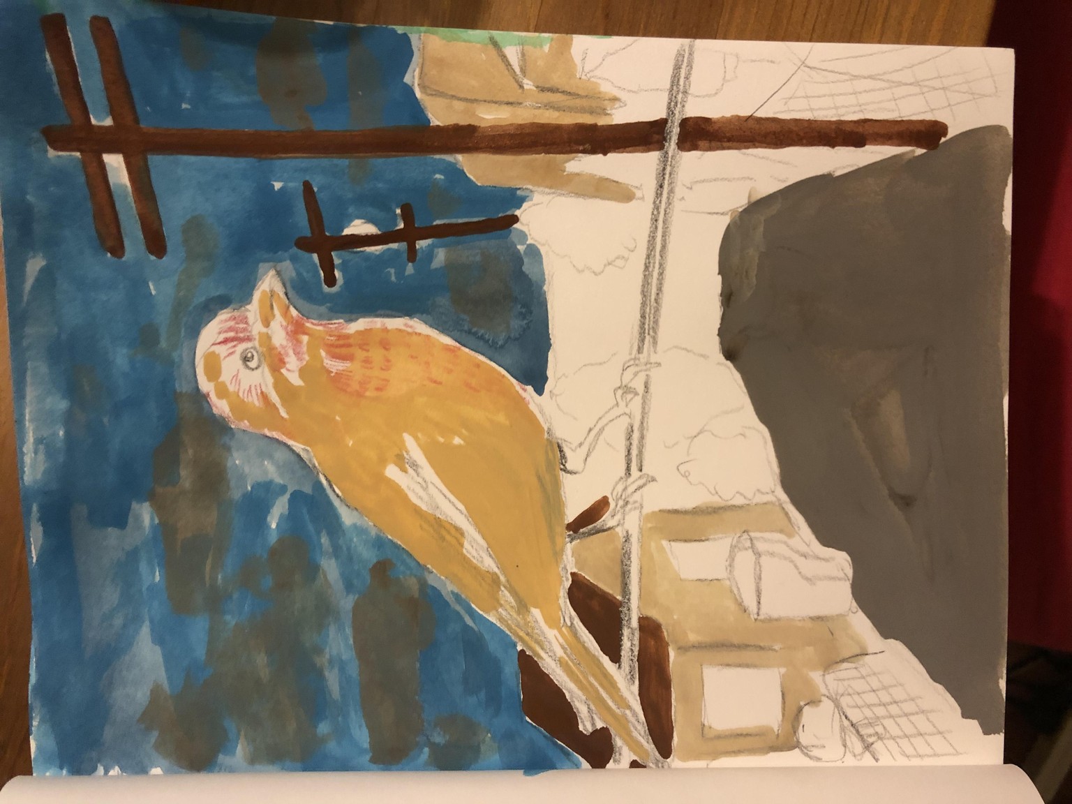 House finch - image 6 - student project