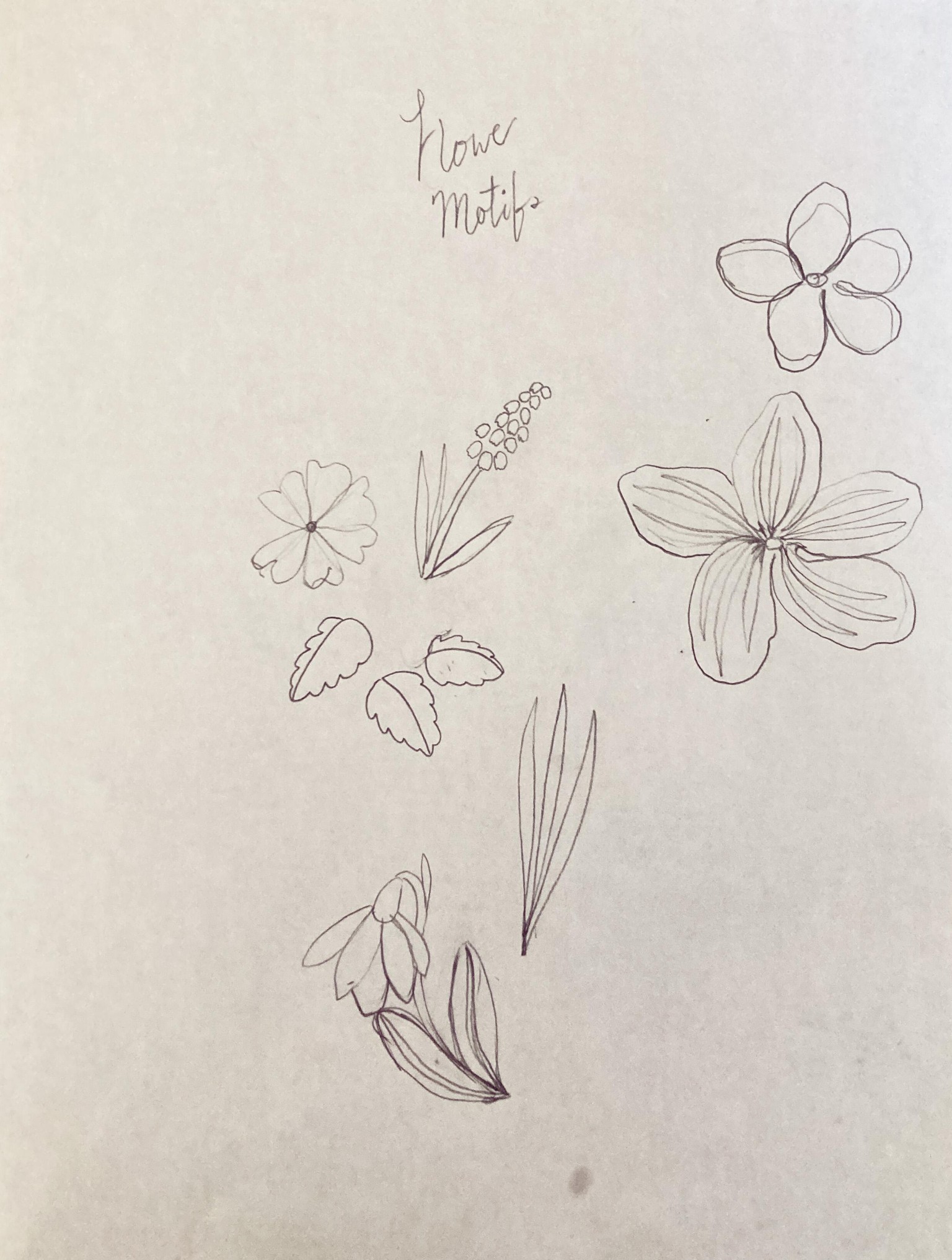 Floral Repeat - Early Spring Blooms - image 2 - student project