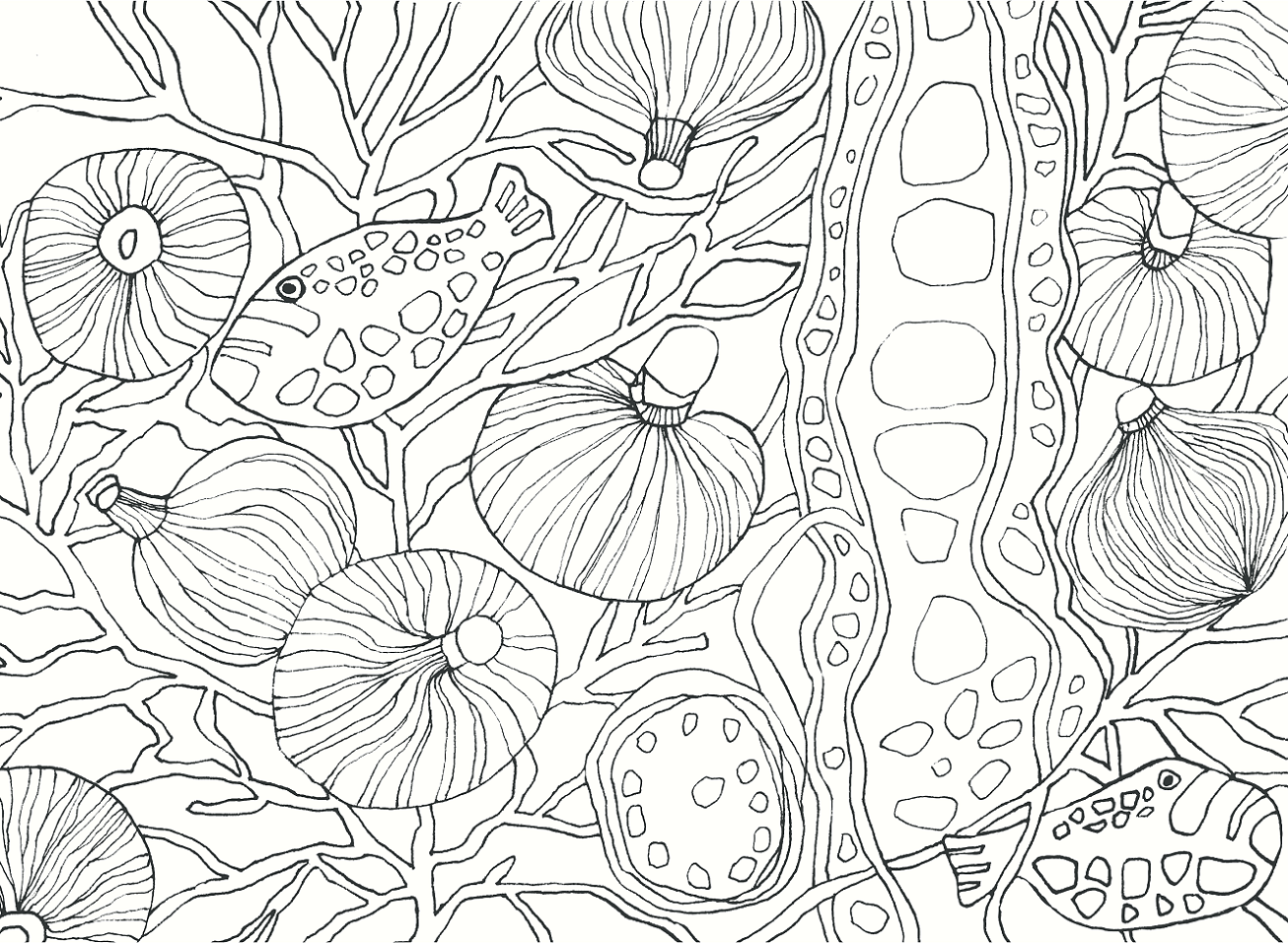 Sea Anemone - image 1 - student project