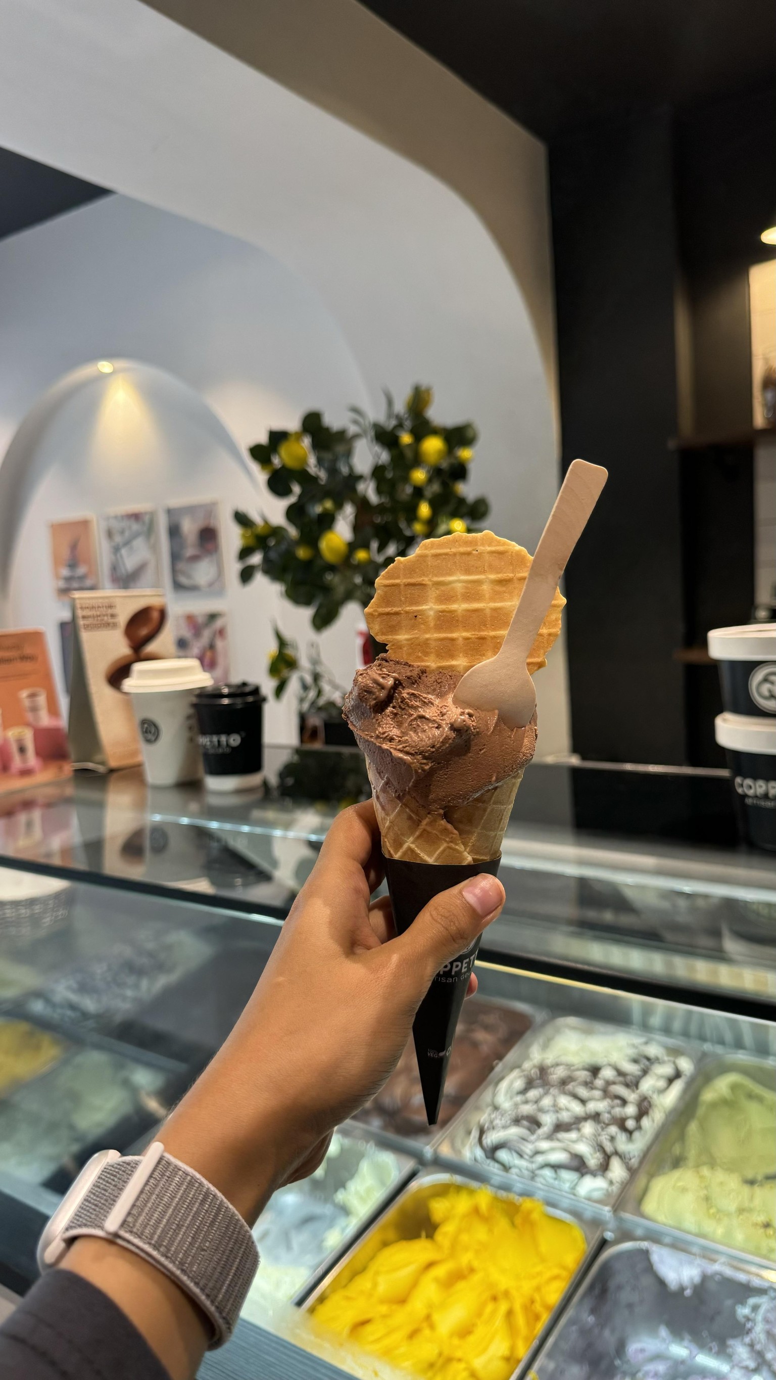Gelato experience - image 1 - student project